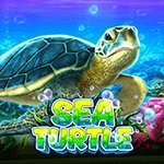 Sea Turtle